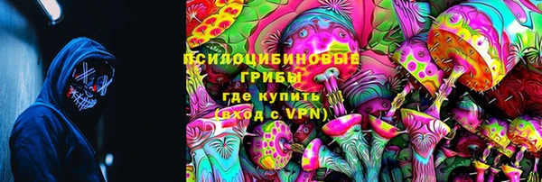 PSILOCYBIN Володарск
