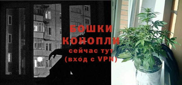 СК Волосово