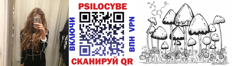 Псилоцибиновые грибы мицелий купить наркоту Барнаул